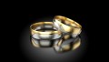 Snubní prsteny - vzor 301